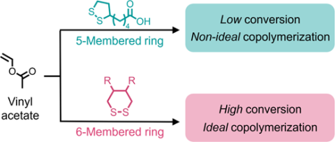 From Lipoic Acid to 1,2-Dithianes: Expanding Radical Ring-Opening to Less-Activated Monomers Such as Vinyl Acetate”